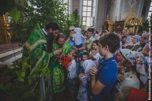 image (54)
